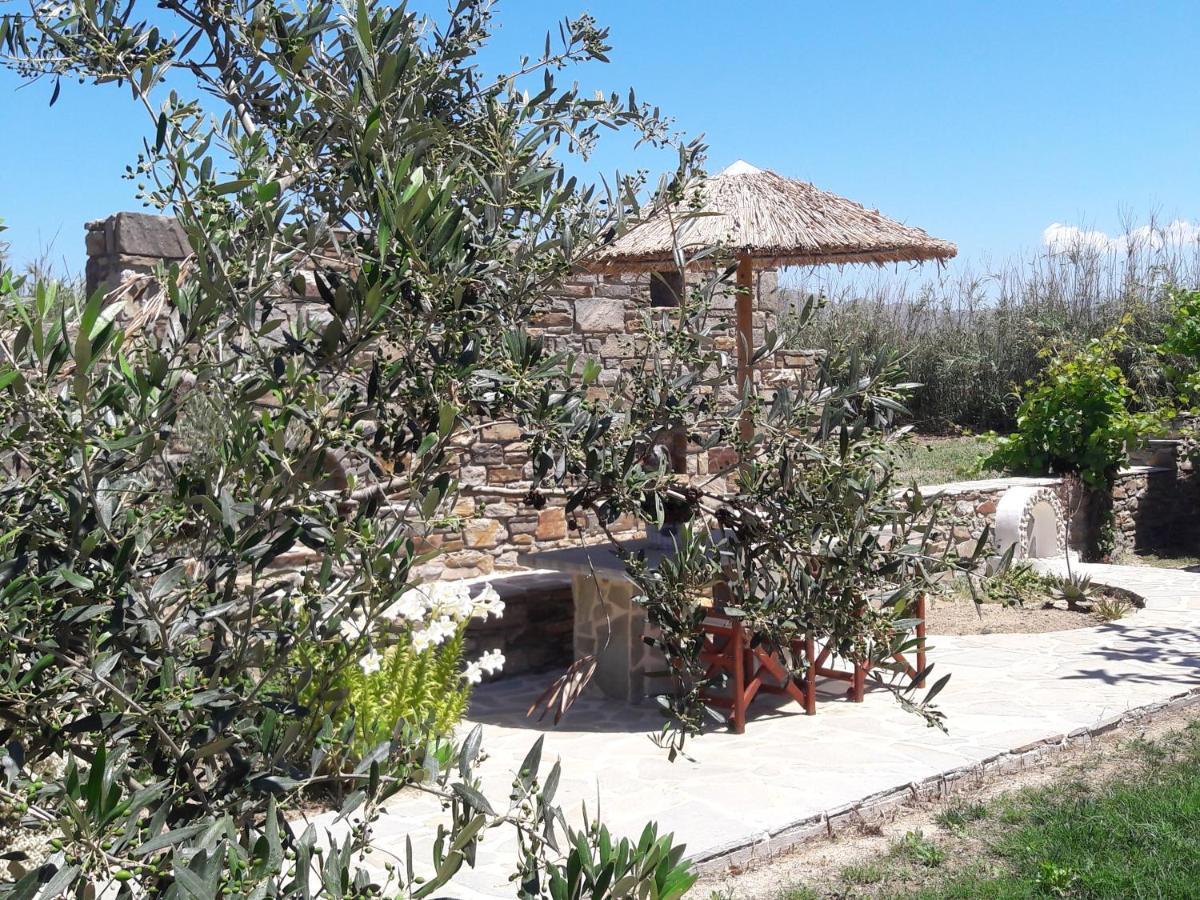 Agia Anna  Elpidas Studios מראה חיצוני תמונה