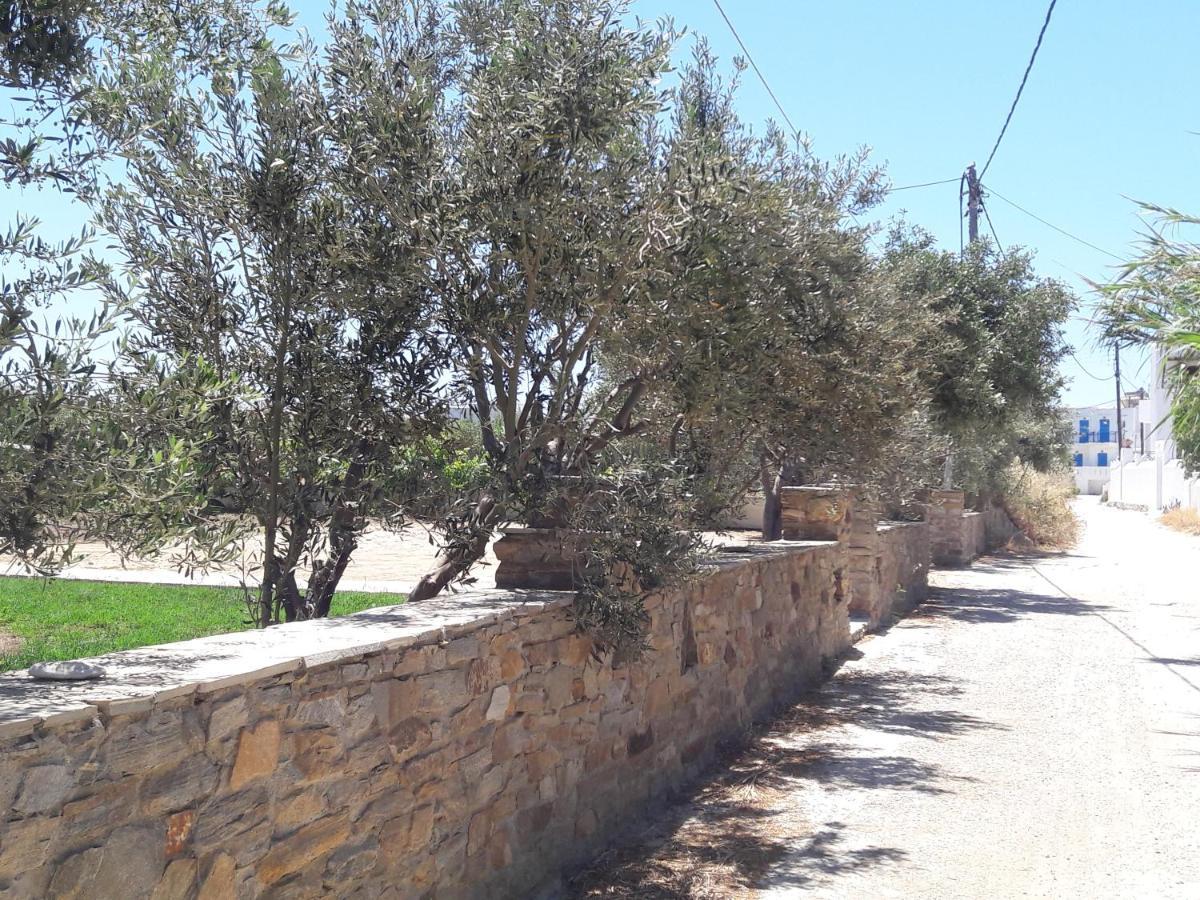 Agia Anna  Elpidas Studios מראה חיצוני תמונה