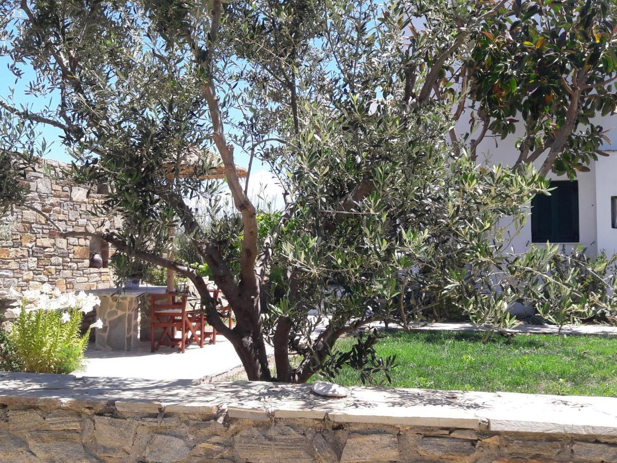 Agia Anna  Elpidas Studios מראה חיצוני תמונה