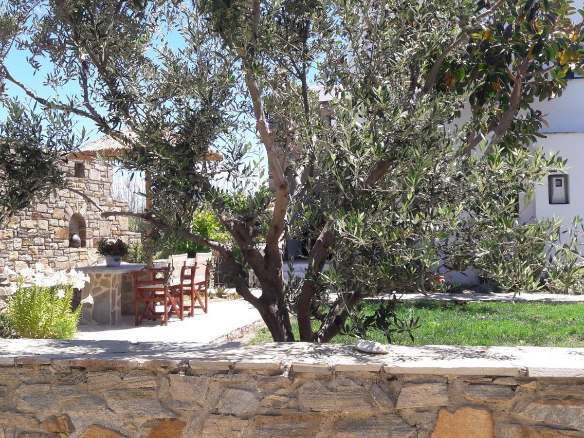 Agia Anna  Elpidas Studios מראה חיצוני תמונה